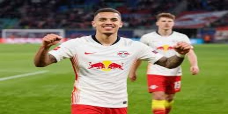 初入英伦：文化冲击与适应过程- 开云体育