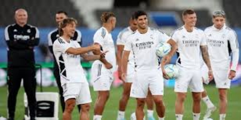 俱乐部背景与选择考量- 开云体育